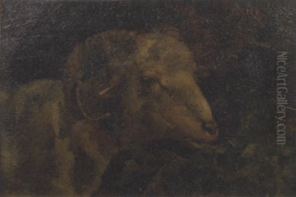 Testa Di Caprone - view 1