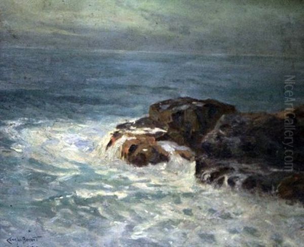 Waves Breaking On The Shore - view 1