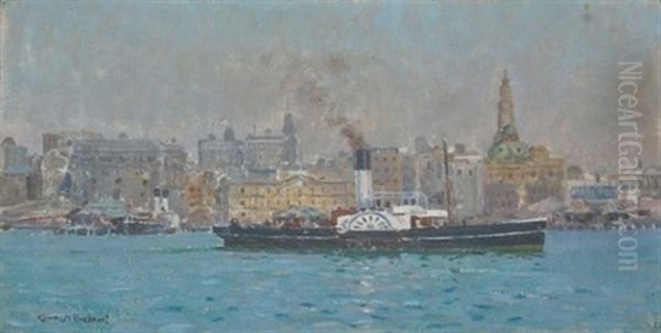 Paddle Steamers - view 1