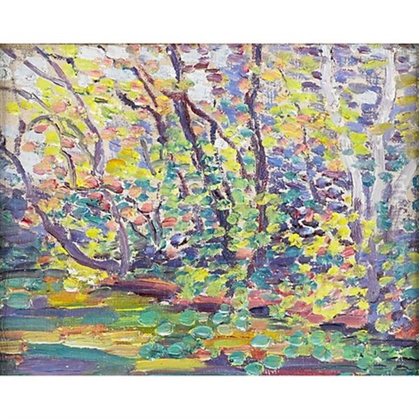Colorful Landscape - view 1