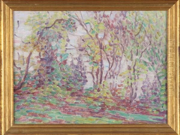 Woods - view 1