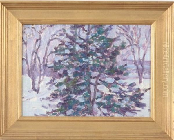 Winter Pines - view 1