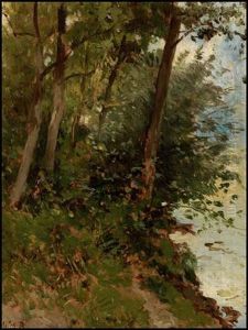 Paysage
