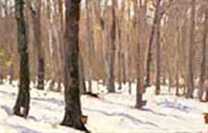 Maple Sugar Bush