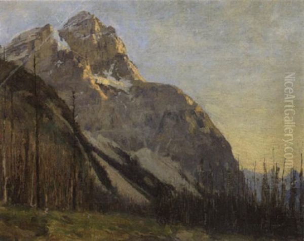 Mount Stephen - view 1