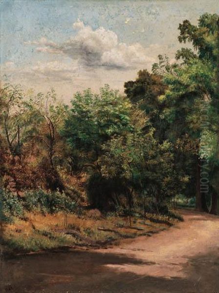 Paisaje - view 1
