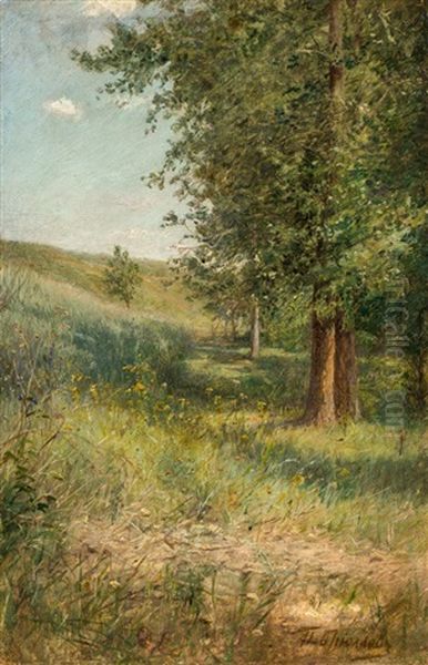 Wiesen- Und Waldlandschaft - view 1