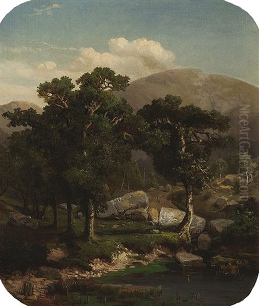 Borovy Haj - view 1