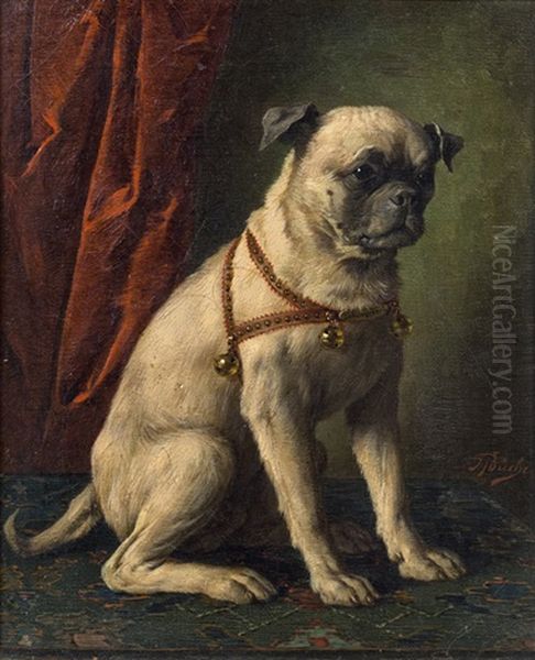 Mops - view 1
