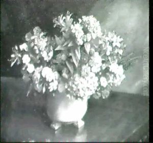 Still Life Of Mixed Flowers In A Bowl by Charles A. Buchel
