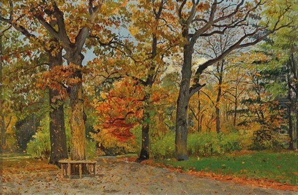 Pathway In A Park - view 1