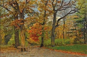 Pathway In A Park