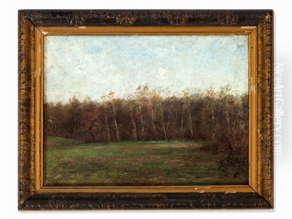 Edge Of An Autumn Forest - view 1