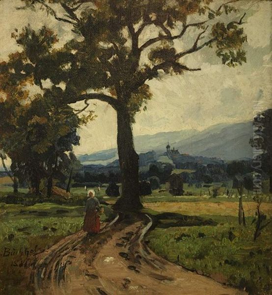 Sommerliche Landschaft Bei Peissenberg - view 1