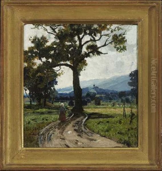 Sommerliche Landschaft Bei Hohenpeisenberg - view 1