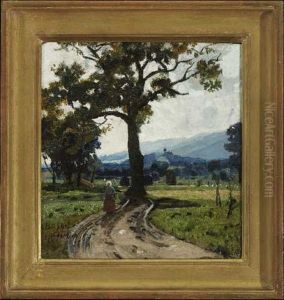Sommerliche Landschaft Bei Hohenpeisenberg