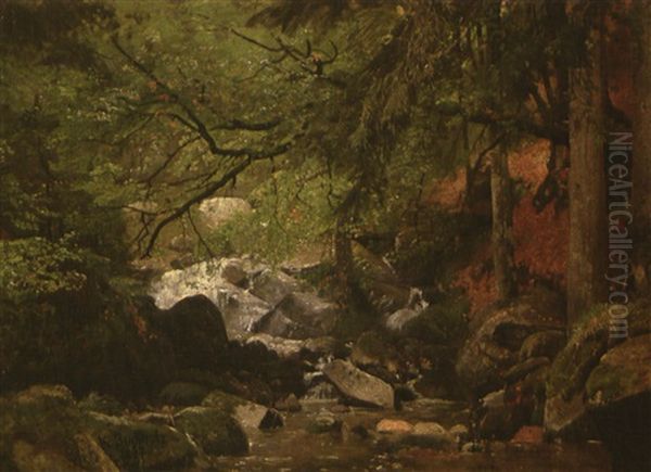 Harzlandschaft (waldbach Im Spatsommer) - view 1