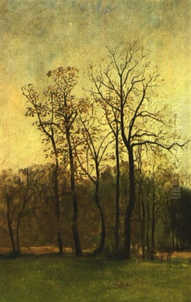 Herbstliche Park-/waldlandschaft - view 1