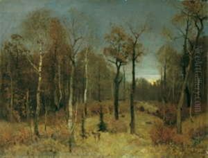 Herbstliche Waldlandschaft