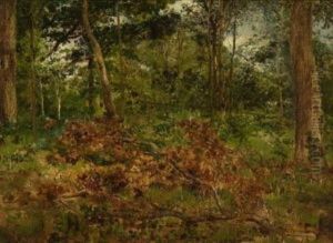 Waldinneres