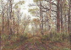 Jager In Sommerlicher Waldlandschaft Mit Birken by Karl Buchholz