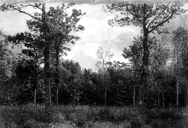 Waldlichtung Im Webicht Bei Weimar - view 1