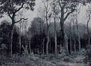 Waldweg Mit Rehen Im Webicht