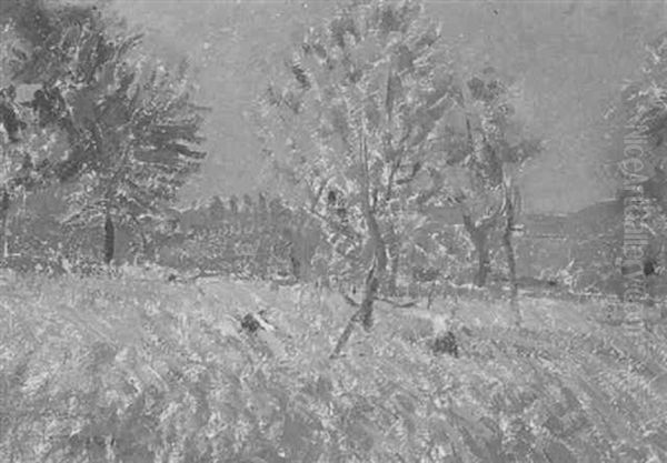 Sommerlandschaft - view 1