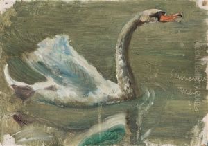 Schwanenstudie by Frank Buchser