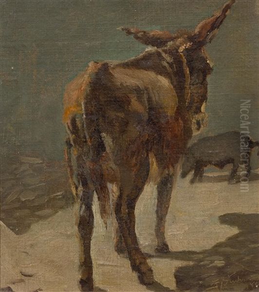 A Donkey - view 1