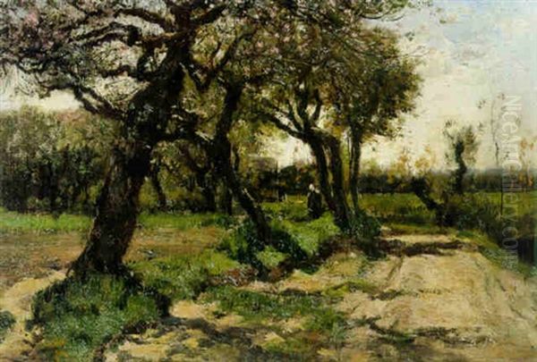 Fruhlingslandschaft - view 1