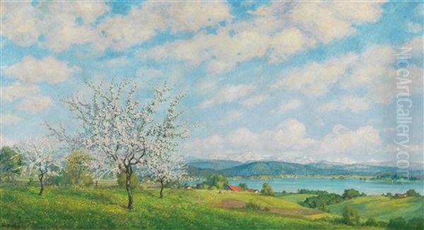 Spring - View Of The Staffelsee From Uffing With View Of The Bay Of Seehausen - view 1