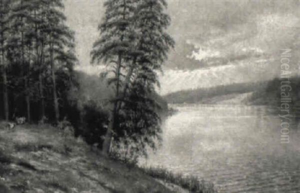 Markische Seelandschaft - view 1