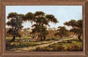 Cattle Grazing Beside A Cabin Among Live Oak Trees