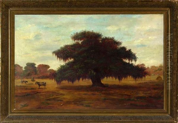 Autumnal Louisiana Pastoral Scene With Cattle Watering Beside An Oak Tree - view 1