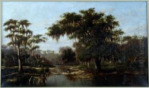 Bayou Study