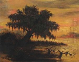 Sunset On The Louisiana Bayou