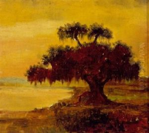 Live Oak With Spanish Moss, Lake Ponchartrain, Louisiana by William Henry Buck