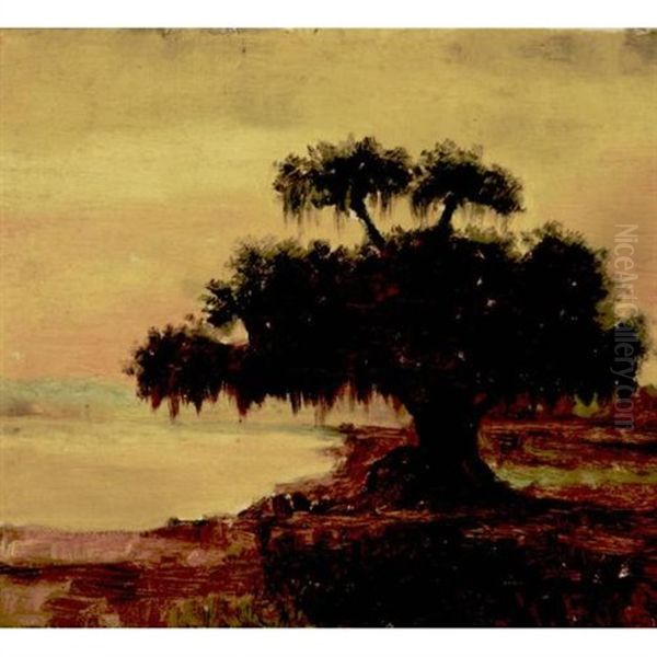 Live Oak With Spanish Moss, Lake Ponchatrain, Louisiana - view 1