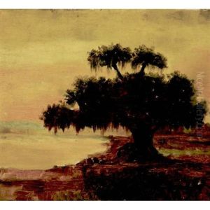 Live Oak With Spanish Moss, Lake Ponchatrain, Louisiana by William Henry Buck