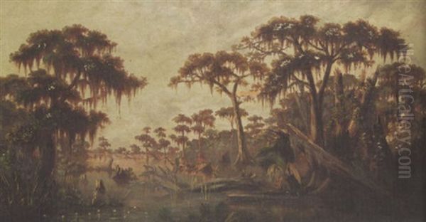 Cypress Trees, Louisiana Bayou - view 1