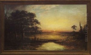 Bayou Landscape At Sundown