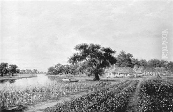 A Cotton Plantation In Louisiana - view 1