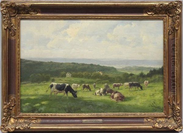 Sommerliche Mittelgebirgslandschaft Mit Weidender Kuhherde - view 1