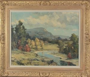 The Valley Meadow