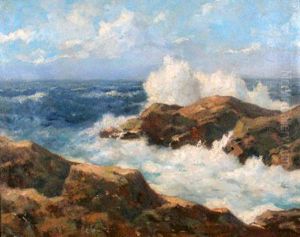 A Wild Surf
