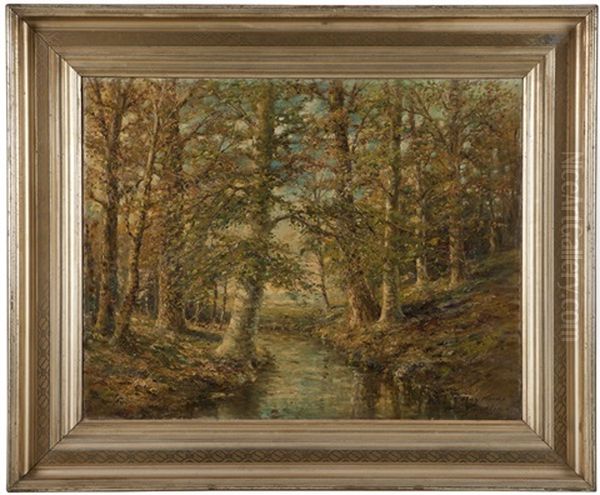 May Woods, New England Forest Landscape - view 1