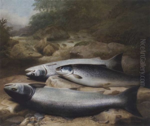 Three Salmon On A Rocky Riverbank - view 1