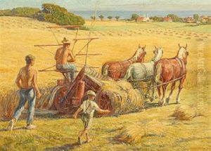 Harvesting With A Reaper-binder