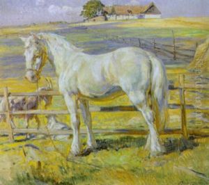 Hest Og Geder Ved Fold
